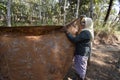 The activities of women batik artisans from Malon Gunung Pati Semarang Indonesia village produce natural patterned batik.