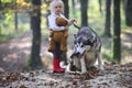 Activity and active rest. Child play with husky and teddy bear on fresh air outdoor. Little girl with dog in autumn Royalty Free Stock Photo