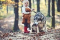 Activity and active rest. Child play with husky and teddy bear on fresh air outdoor. Little girl with dog in autumn Royalty Free Stock Photo