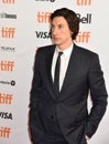 Adam Driver at premiere for Marriage Story in toronto