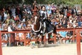 An actor as medieval knight demonstrate skills on horseback Royalty Free Stock Photo