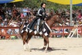 An actor as medieval knight demonstrate skills on horseback Royalty Free Stock Photo