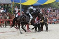 An actor as medieval knight demonstrate skills on horseback Royalty Free Stock Photo