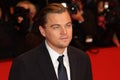 Actor Leonardo DiCaprio Royalty Free Stock Photo