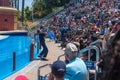 Entertaining visitors at the San Diego Sea World in california