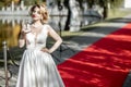 Actress on the red carpet outdoors Royalty Free Stock Photo