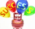 Acumen and success - pictured as word Acumen on a fuel tank and balloons, to symbolize that Acumen achieve success and happiness,