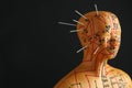 Acupuncture - alternative medicine. Human model with needles in head on black background, space for text Royalty Free Stock Photo