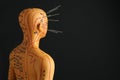 Acupuncture - alternative medicine. Human model with needles in head on black background, space for text Royalty Free Stock Photo