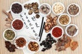 Acupuncture Chinese Medicine Royalty Free Stock Photo