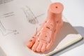 Acupuncture demonstration on foot model Royalty Free Stock Photo