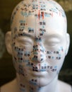 Acupuncture Facial Points