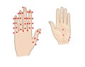 Acupuncture hand massage. Shiatsu. Active points. Isolated on a white background