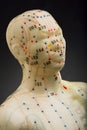 Acupuncture mannequin head Royalty Free Stock Photo