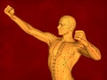 Acupuncture Model, 3D Model Royalty Free Stock Photo