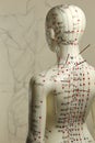 Acupuncture model