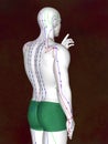 Acupuncture model M-POSE EHP-02-4, 3D illustration Royalty Free Stock Photo