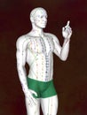 Acupuncture model M-POSE EHP-02-2, 3D illustration Royalty Free Stock Photo