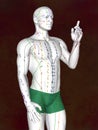 Acupuncture model M-POSE EHP-02-8, 3D illustration Royalty Free Stock Photo