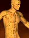 Acupuncture model M-POSE M4ay-06-8, 3D Model Royalty Free Stock Photo