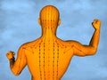 Acupuncture model M-POSE M4ay-24-8, 3D Model