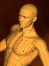 Acupuncture model M-POSE M4ay-06-1, 3D Model Royalty Free Stock Photo