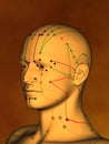 Acupuncture model M-POSE M4ay-06-9, 3D Model Royalty Free Stock Photo