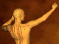 Acupuncture model M-POSE M4ay-10-1, 3D Model