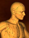 Acupuncture model M-POSE M4ay-06-2, 3D Model Royalty Free Stock Photo