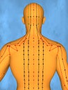 Acupuncture model M-POSE Mylie-01-8, 3D Model Royalty Free Stock Photo