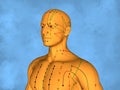 Acupuncture model M-POSE Mylie-01-15, 3D Model
