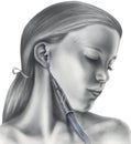 Acupuncture Points on the Ear