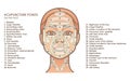 Acupuncture points on the face. Young woman face. Vector illustration Royalty Free Stock Photo