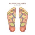 Acupuncture points on the feet. Reflex zones on the feet. Vector illustration