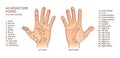 Acupuncture points on the hands. With description of the corresponding Internal organs and body parts. Alternative