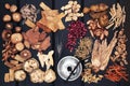 Acupuncture Therapy and Chinese Herbs Royalty Free Stock Photo