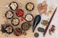 Acupuncture Traditional Chinese Medicine Royalty Free Stock Photo