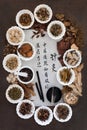 Acupuncture Traditional Medicine Royalty Free Stock Photo