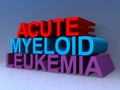 Acute myeloid leukemia