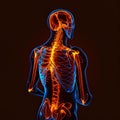 acute pain in the back Glowing Bones in human body Generative AI Human body image