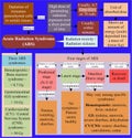 Acute radiation syndrome is caused by high dose of penetrating radiation exposure over a short period of time.