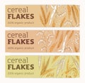 Ad banners set with cereal crops. Organic grain food, products, horizontal backgrounds in vintage style. Promo designs Royalty Free Stock Photo