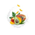 Ad 3d promotion banner, Realistic mango, avocado, papaya with falling slices. Ice cream, yogurt, juice brand advertising. Label