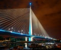 Ada bridge, Belgrade. Night picture.