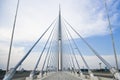 Ada bridge. Belgrade Royalty Free Stock Photo