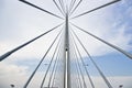 Ada bridge. Belgrade Royalty Free Stock Photo