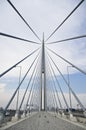 Ada bridge. Belgrade Royalty Free Stock Photo