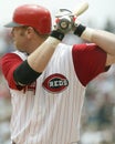 Adam Dunn, Cincinnati Reds Royalty Free Stock Photo