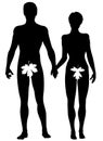 Adam and Eve Royalty Free Stock Photo