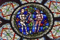 Adam Eve Stained Glass Notre Dame Cathedral Paris France Royalty Free Stock Photo